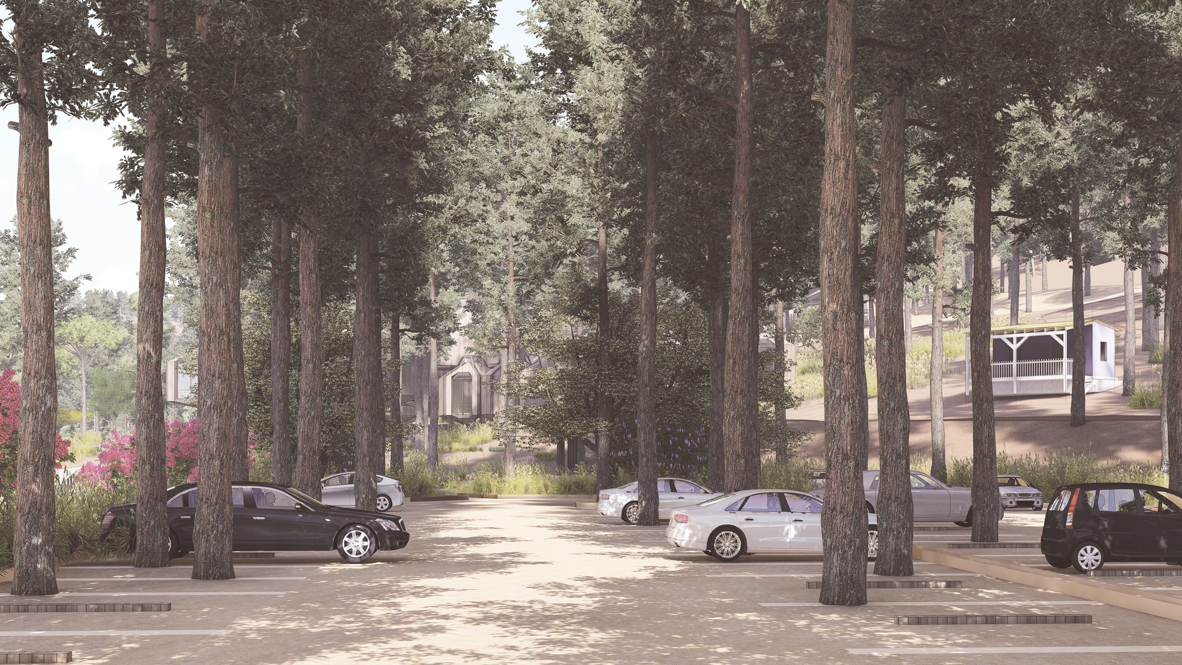 İztuzu Deniz Kaplumbağaları Rehabilitasyon Merkezi - Görsel 4